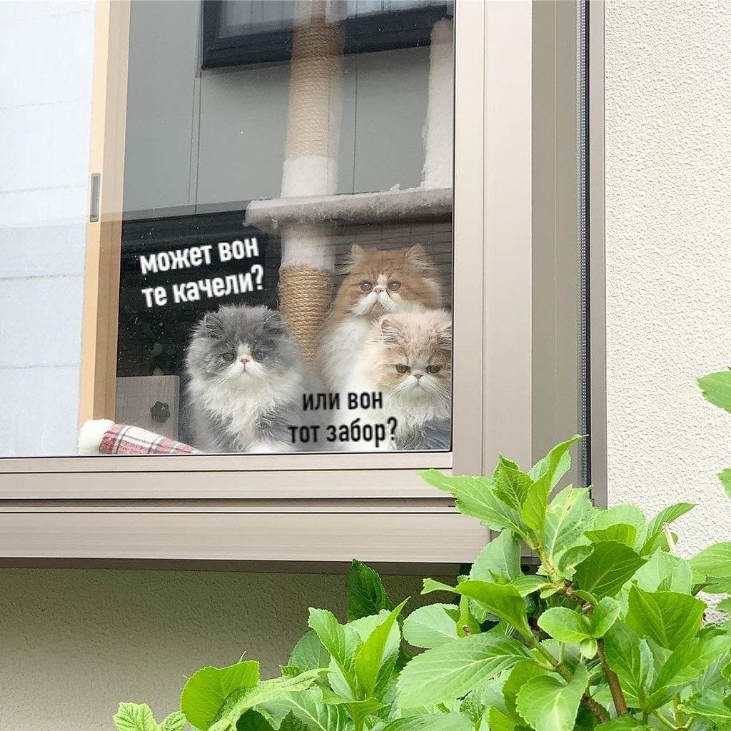          ,     