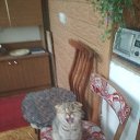 ���� Sergei, �������, 56 ��� - ��������� 8 ���� 2020 � ������ ���� ����������