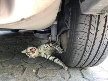    :          - 2