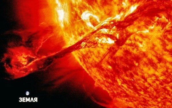 Paзмep coлнeчнoгo прoтубepaнцa в cрaвнeнии c Зeмлeй