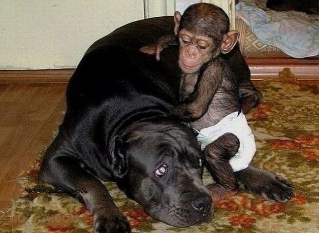 Hy p���� ����o ��� �������� �����a� �a��? =)) - 2