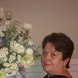 �����, �������, 71 ���