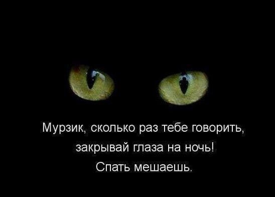 ��� �������� �������� - 10 ������� 2020 � 18:55