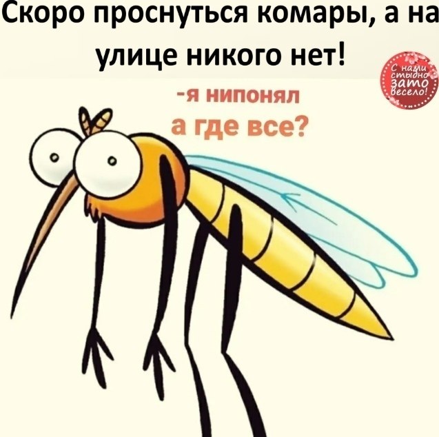 o op )