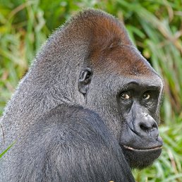 ���� Nazar, ������, 47 ��� - ��������� 20 ��� 2020