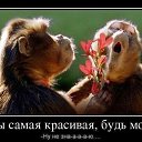 ���� ��������, ������ - ��������� 9 ���� 2020 � ������ �������� �����