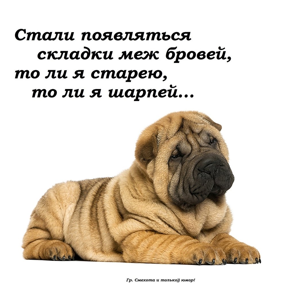   ,    . - 25  2020  15:42