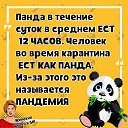 ���� �����, ������-��-���� - ��������� 1 ��� 2020 � ������ ������ ��������