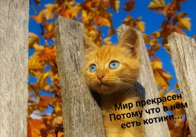       - 29  2020  18:39