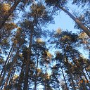 � ����� ������ ������ ����� (����������� ��� ��������, ��� �� ��������). �� ������� �� ����.�