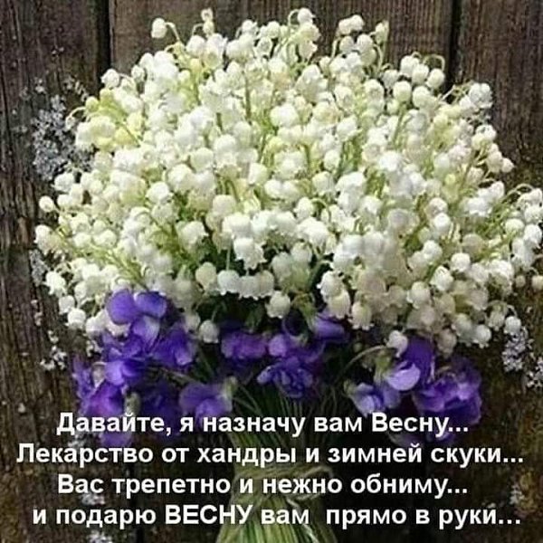   ,    . - 25  2020  22:13
