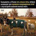 ���� ��������, ������ - ��������� 9 ���� 2020 � ������ �������� �����