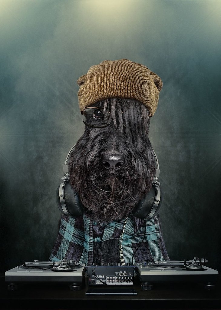 ������ - 30 ���� 2020 � 18:36