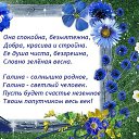 ���� ������, �������� - ��������� 2 ������ 2020 � ������ ���� ����������