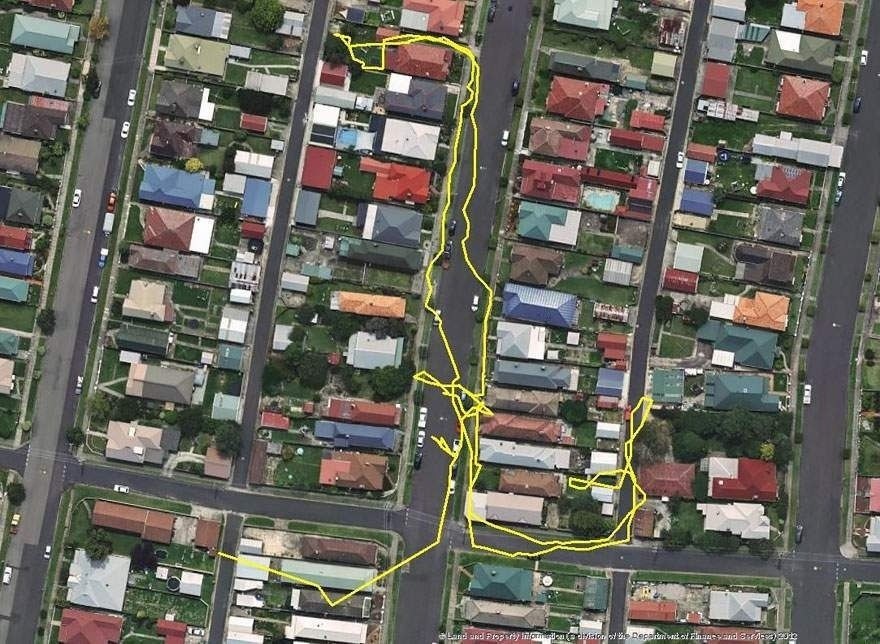   GPS      . - 3