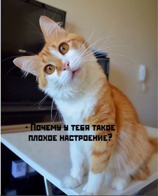       - 7  2020  19:31