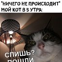 ���� ���������, ������, 50 ��� - ��������� 21 ������ 2020 � ������ ���� ����������