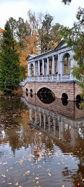 Золотая осень в Пушкине. Делитесь вашими фотографиями осени! Фото: Света Светлана