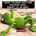 ���� ����, ��������, 63 ���� - ��������� 21 �������� 2020 � ������ ���� ����������