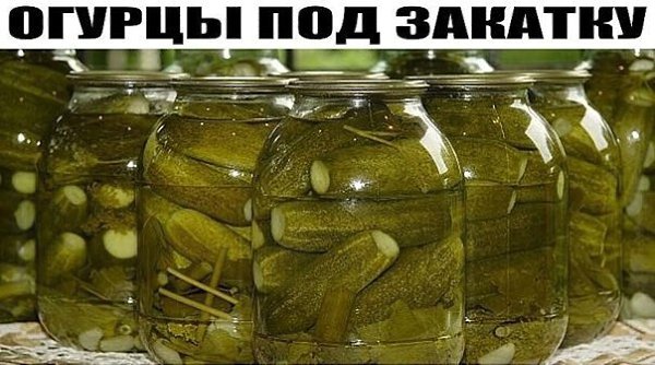 Делюсь простым рецептом огурцов под закатку. Рекомендую использовать овощи небольшого размера, так ...