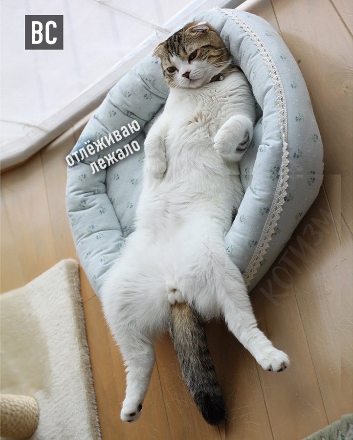   ,     : - 7
