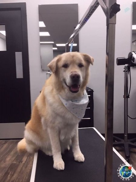 p o pacop oo ap o 79   p c, o pap  oop oo ... - 5