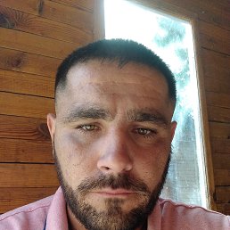 ����, �����������, 36 ���