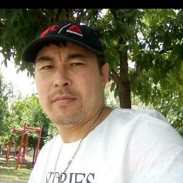 �����, ������, 41 ���