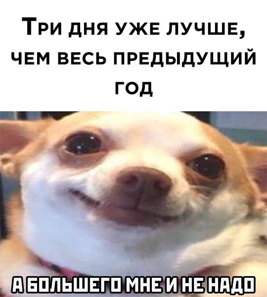    ר! - 4  2021  13:32