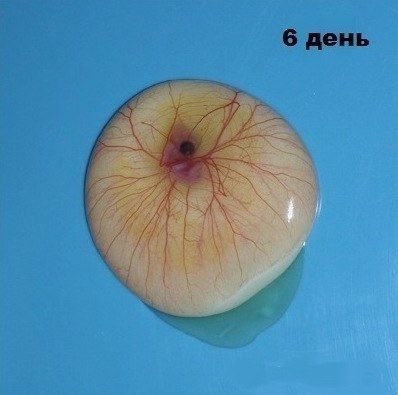    - 3