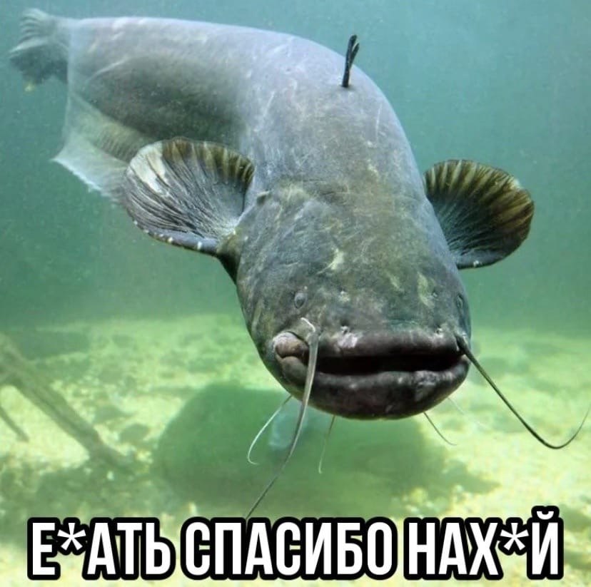 ,    ... - 4