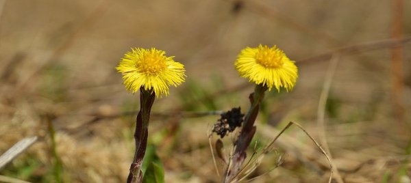 ����������� - 1 ����� 2021 � 16:49 - 5