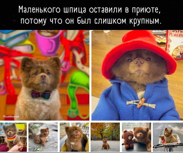   .. ,    ?