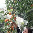 ���� ������, ������ - ��������� 19 �������� 2020 � ������ ���� ����������