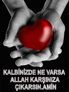 ���� ���, ������, 53 ���� - ��������� 23 �������� 2020