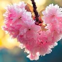 ���� ��������, �������, 64 ���� - ��������� 10 ������ 2020 � ������ ������ ��������