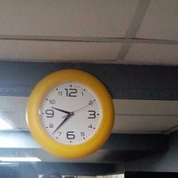 ���� ��������, ������, 29 ��� - ��������� 16 ������ 2020