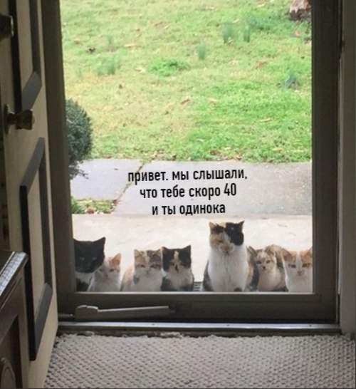     ,   -  