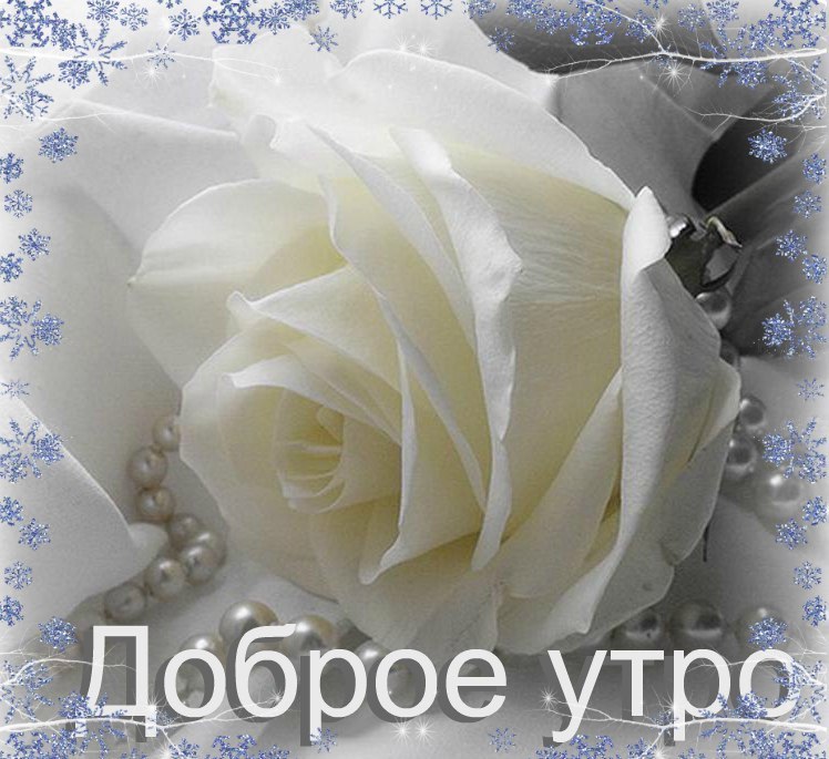   ,    . - 15  2021  00:04 - 3
