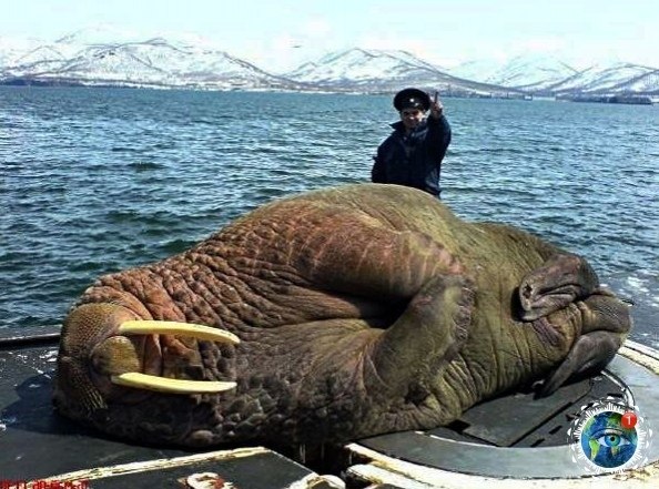  op!  opao?. aaaao!!))poco op p p coee a  pe a ... - 2