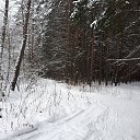 ���� �����, ������, 43 ���� - ��������� 10 ������ 2021 � ������ ���� ����������