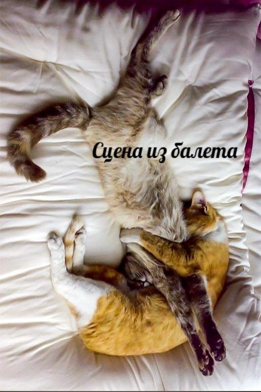  !))).    ?! - 7