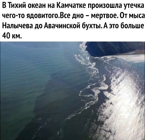  - 11  2020  01:52