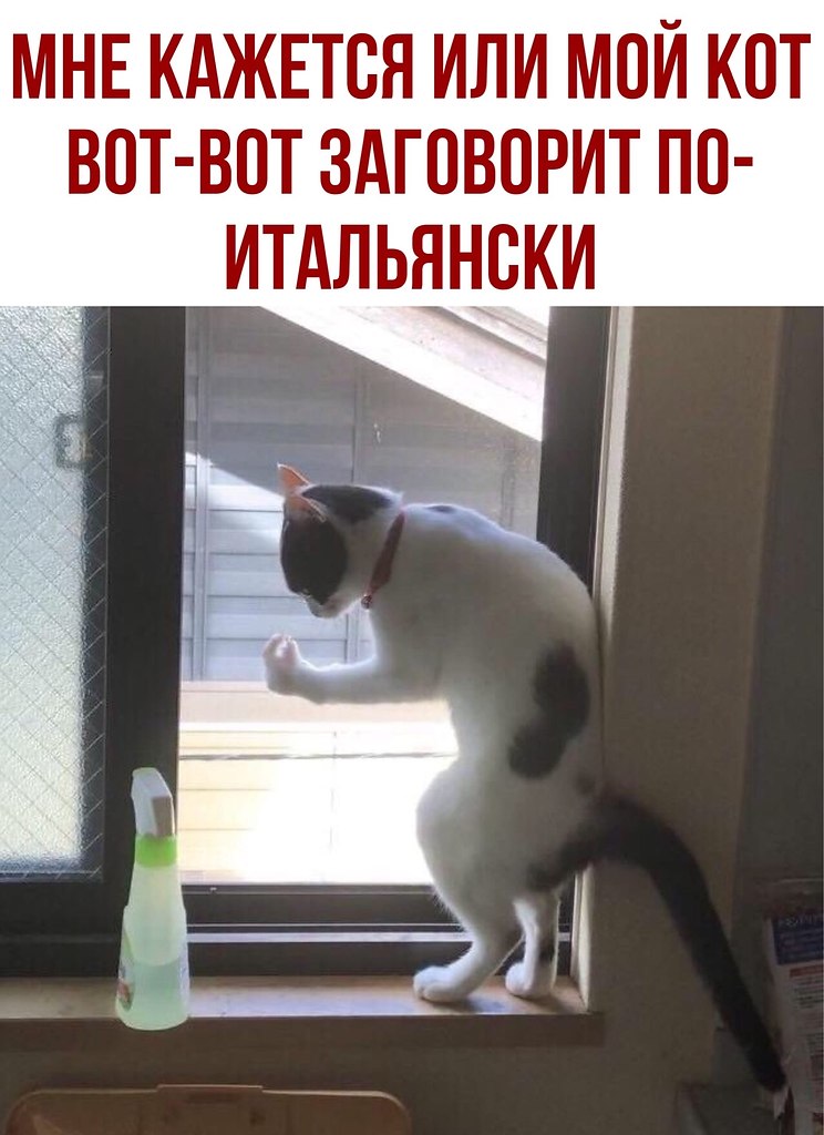  - 8  2020  21:05
