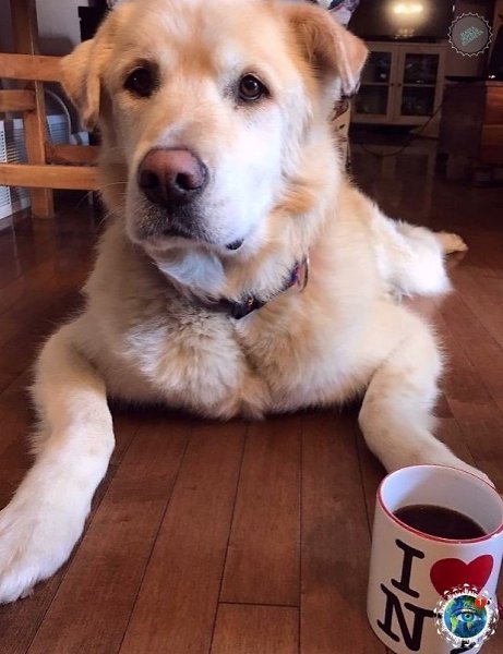 p o pacop oo ap o 79   p c, o pap  oop oo ... - 6