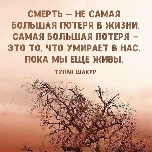     - 23  2020  19:10