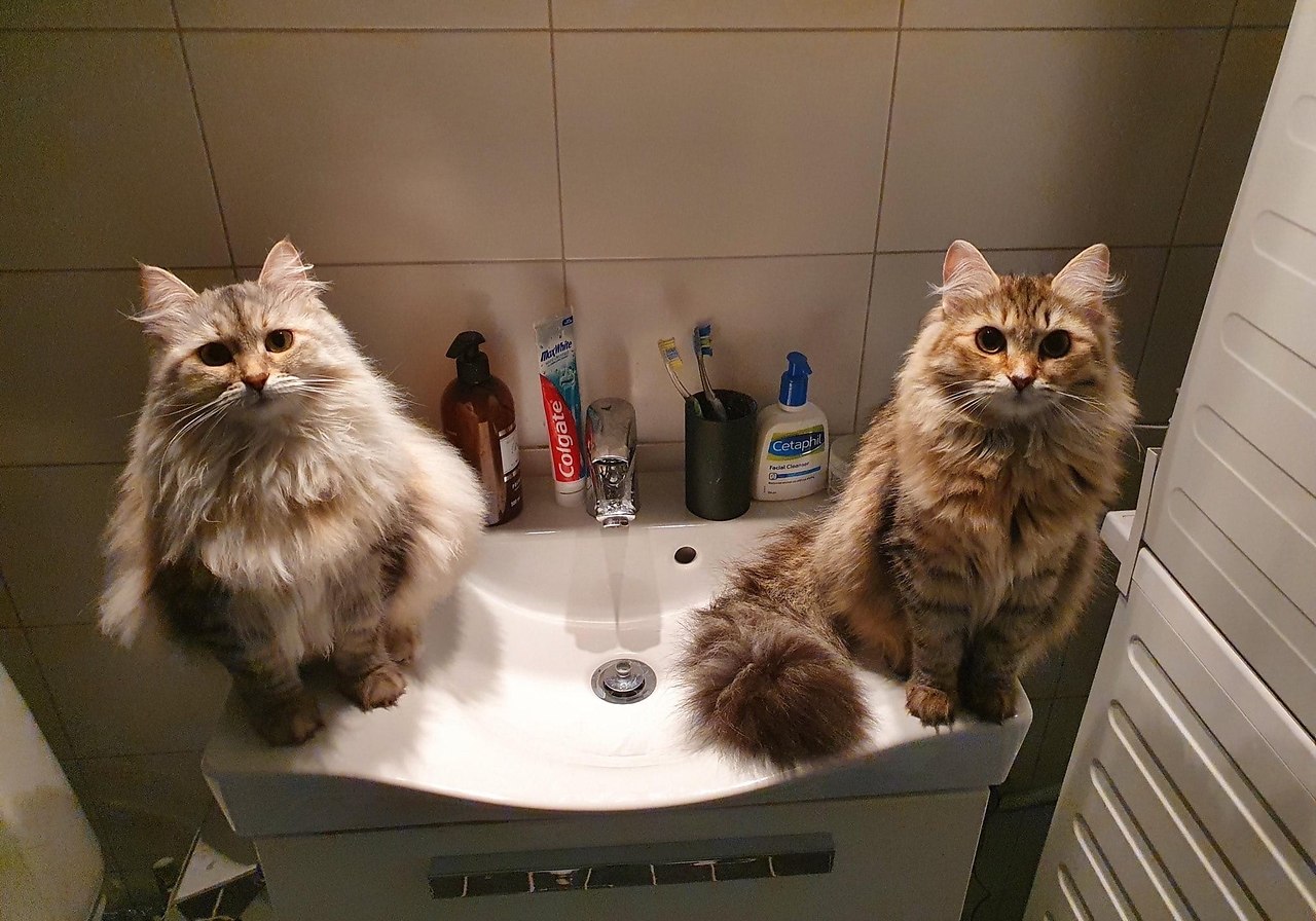 :        )))