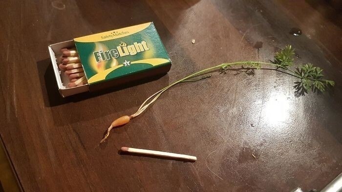       - 7