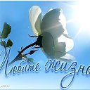 ���� �������, ������ - ��������� 3 �������� 2020 � ������ ������ ��������