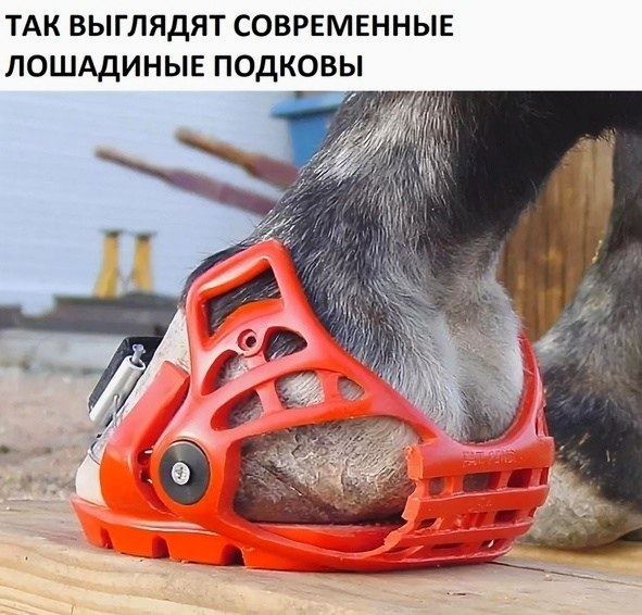BEST | , ,  - 18  2020  19:05